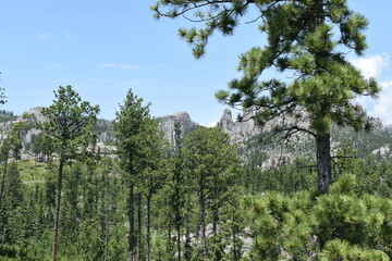 South Dakota Landscape