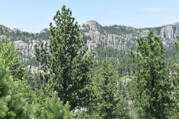 Fototapeta premium South Dakota Landscape