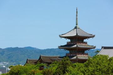 新緑の清水寺三重塔
