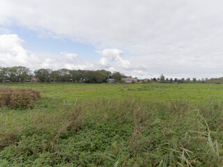 An agricultural field in Waverveen, The Netherlands