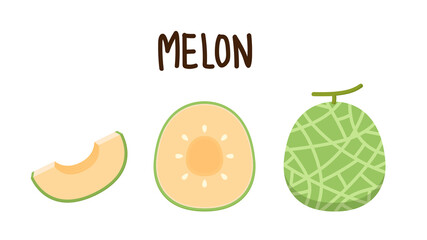 Melon logo vector. melon on white background. Half melon.