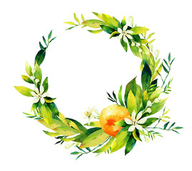 Beautiful frame composition made of hand drawn watercolour citrus fruits leaves and flowers.
