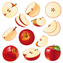 Vector image Isolated drawing apples on a white background, red apples, apple slices, apple slices, sliced apples.