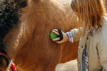 Close up image of a little ginger girl cleans her horse with a brush. Close up.