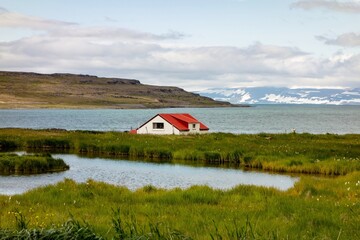 Lonely farmstead in Iceland on a coastline in fjords at the west of country