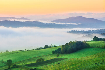 55 / 5000
Wyniki tłumaczenia
sunrise, mountains and valley in the fog, beautiful landscape - obrazy, fototapety, plakaty