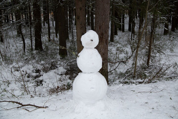 A snowman stands in the snow.Fun and recreation in winter.
