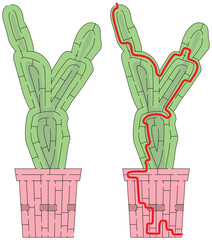 Cactus maze