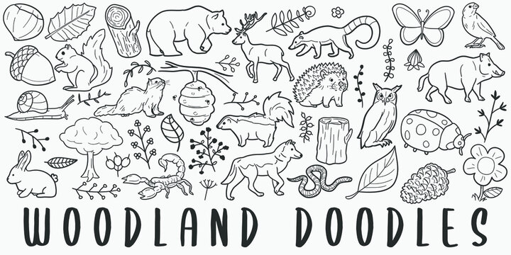 Woodland Animals doodle icon set. Fauna Vector illustration collection. Banner Hand drawn Line art style.