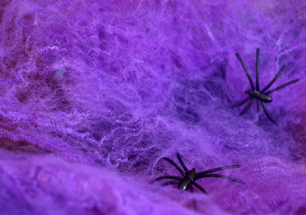 A black spider crawls on a purple web and an orange pumpkin on a lilac background. Halloween. Card.