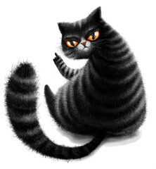middle finger black cat illustration