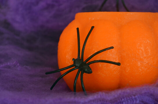 A black spider crawls on a purple web and an orange pumpkin on a lilac background. Halloween. Card.
