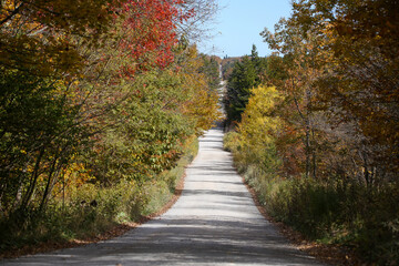 dirt road through autumn landscape