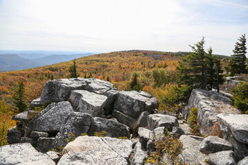 autumn landscape with rock clifs