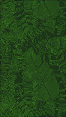 Green lines pattern of tropical leaves pattern style on dark green background, vertical flat line vector and illustration.