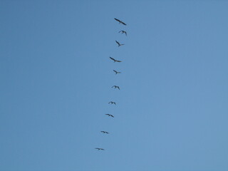 GEDSC DIGITAL CAMERA.