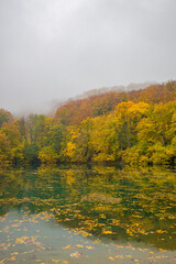 Beautiful dramatic view of autumn forest over clouds and fog. Fall season nature landscape, amazing colors, orange yellow golden leaves. Dream autumn nature scenery calm lake water reflection, foliage