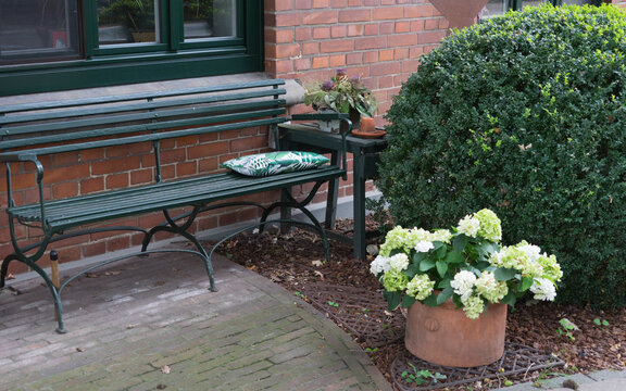 Closeup of an old historic brick building, in the fore a wooden bench, a box tree, different flower pots and a small green garden