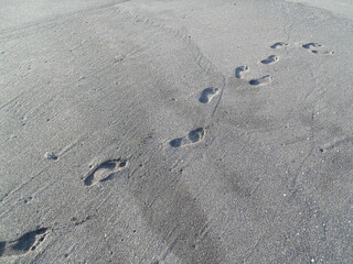 GEDSC DIGITAL CAMERA.