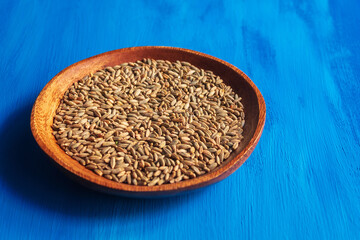 In a round wooden bowl there are rye seeds for germination
