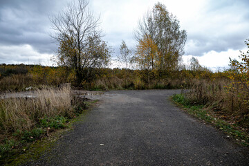 Fototapeta na wymiar T-shaped road intersection in the fields, against the background of Russian birch trees