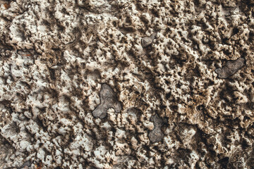 Rough rock texture - deep surface relief - natural backing