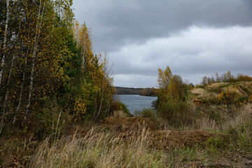 autumn pond on the background of the lake, the sky is overcast around the forest