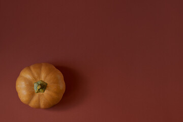 Pumpkin on paper background