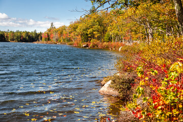 Fox Pond in Hancock County Maine on a sunny day with fall foliage.