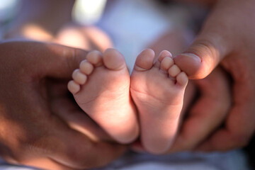 Newborn baby feet in parents’ hands outside