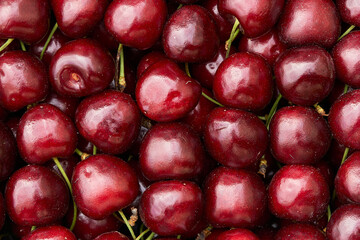 cherry ripe sweet viburnum cherry background