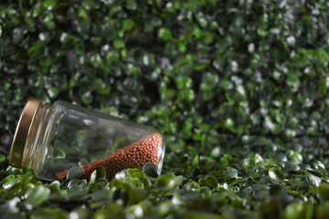 a small jar with mustard seeds on a background full of green leaves