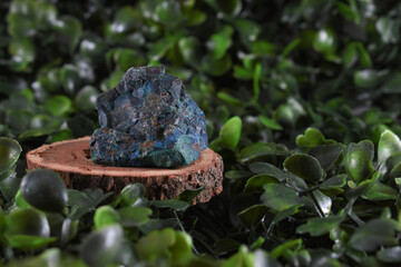 Different stones and minerals on wooden discs on a green background of leaves