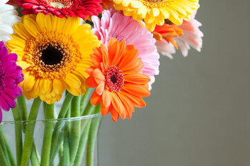 Bouquet of beautiful bright gerbera flowers in a vase. Part of flowers with copy space for text. Selective focus.
