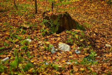 garbage scattered in the woods