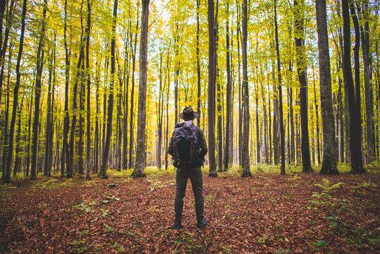 Back view of an young man standing in the middle of forest whith his backpack.