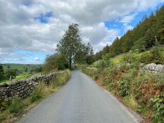Country lane, with dry stone walls, wild plants and trees, leading away from, Barden Tower, Skipton, UK