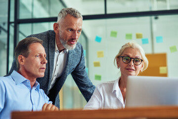 Group of focused mature business people looking at laptop screen and discussing report while working together in the modern office or coworking space