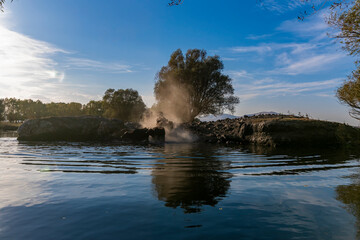 wild buffalos and horses in lake 