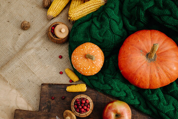 autumn harvest, corn, apples, lavender, large orange pumpkin, nuts, red berries on a green knitted scarf 1