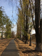 alley in the park