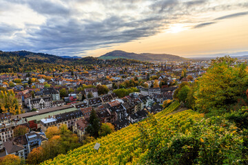 Golden Summer in Freiburg - Blick vom Freiburger Schlossberg auf die Stadt Freiburg