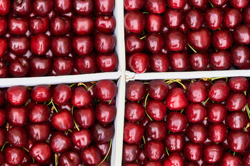 cherry ripe sweet viburnum cherry background