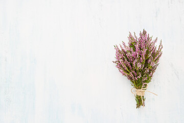 Bouquet of Pink Common Heather flowers on white blue background. Copy space, top view. Flat lay