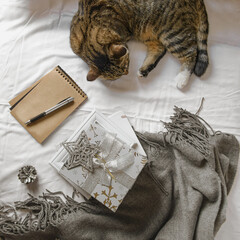 Cosy home flat lay composition with present box, blank copybook, a pen and a sleeping cat on a bed with copyspace. Holiday shopping list, wish list or presents checklist. Selective focus