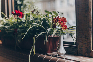 flowers in a vase