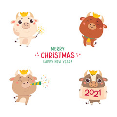Obraz premium Set of cute silver cartoon bulls and cows.New year ox with various festive attributes.Chinese new year 2021 symbol.Set of holiday animals for the design of calendars,cards,advertising.Vector 