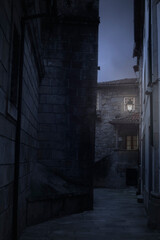 Fototapeta na wymiar Medieval city by night