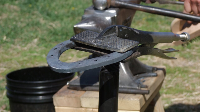 Farrier: closeup of vise grip holding metal horseshoe.