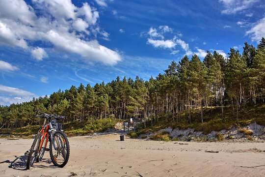 Tourists on a Baltic Sea beach by the green and bicycles parked nearby.